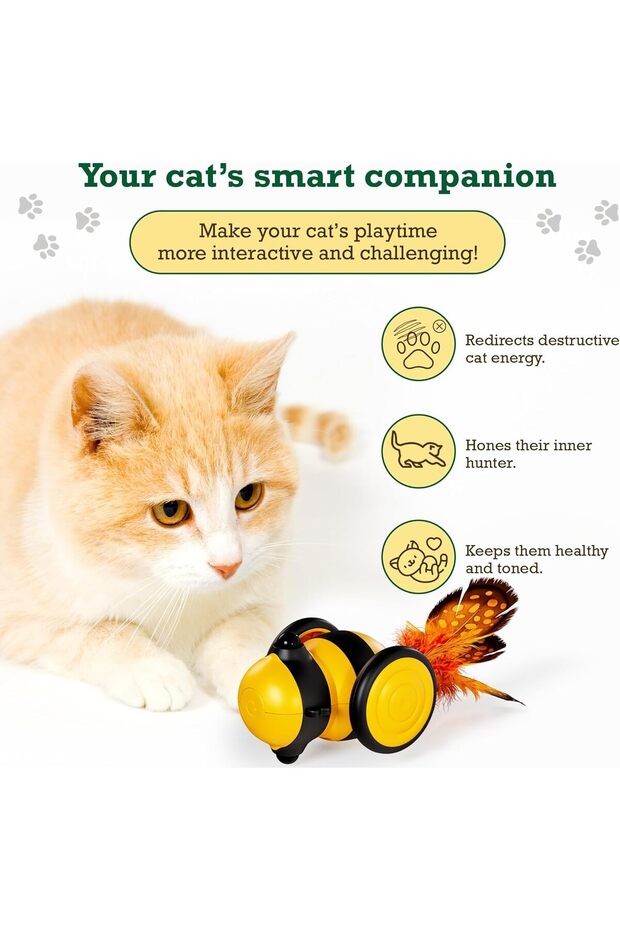 Interactive Cat Toy Car, Motorized Bee Design with Feather Attachments for Feline Hunting