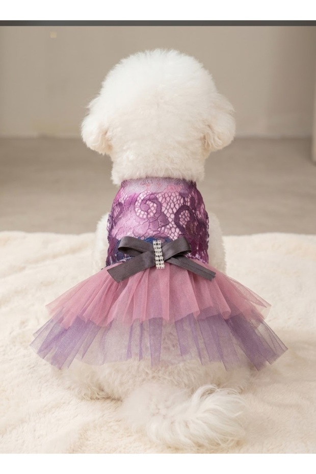 Cat Dog Outfit Pink Purple Tutu Dress