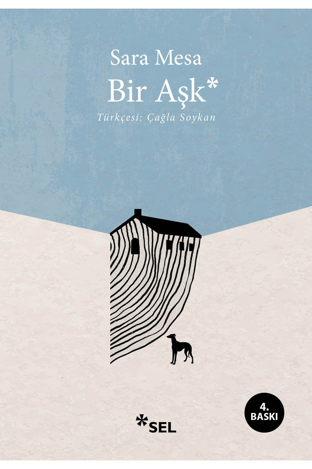 Bir Aşk