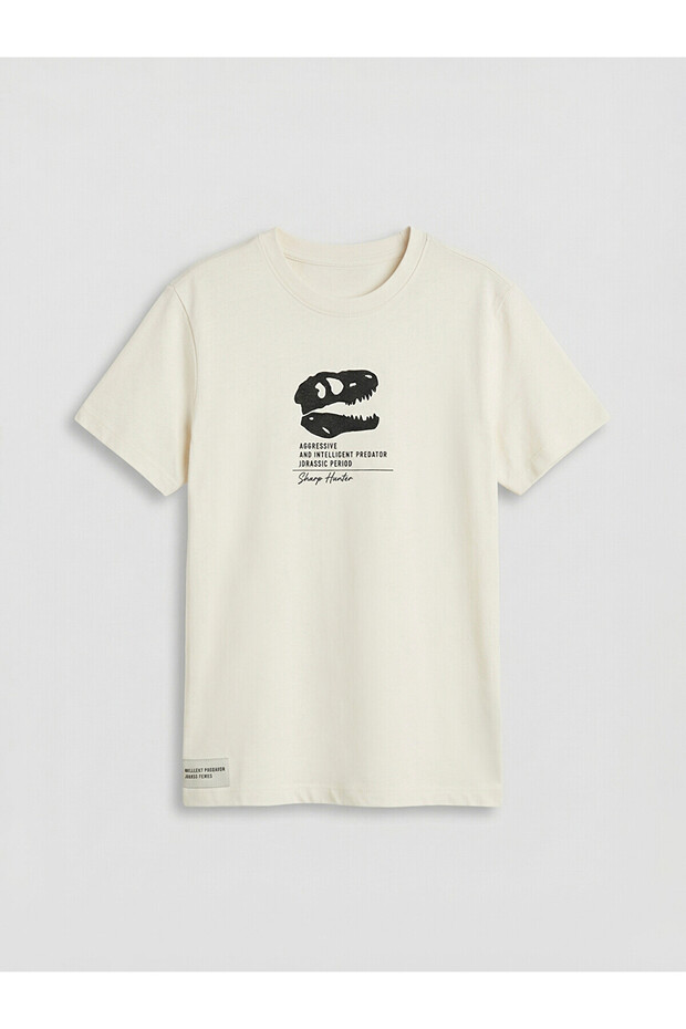 Original Oval Collar Printed Boy's T-Shirt