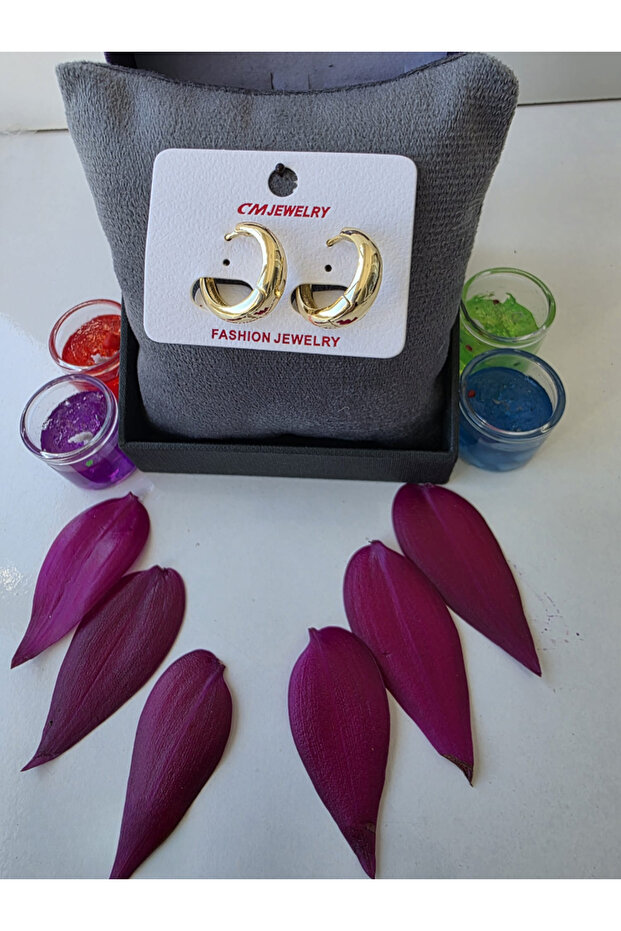 Steel Earrings