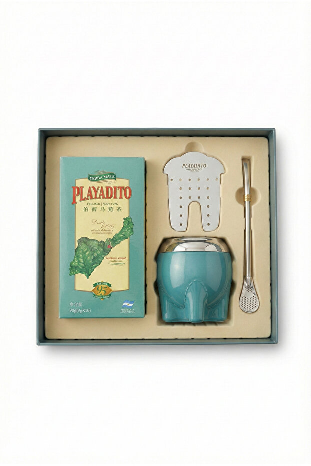 Premium Yerba Mate Gift Set, Stainless Steel Cup, Straw, Yerba Mate (9g x 10 Sachets), Exclusive Bag