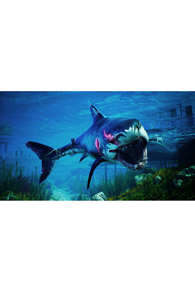 PS4 Maneater - Day One Edition (EU) - 5