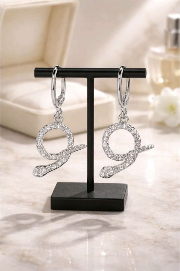Special Design Zircon Stone Earrings with Colorful Figures