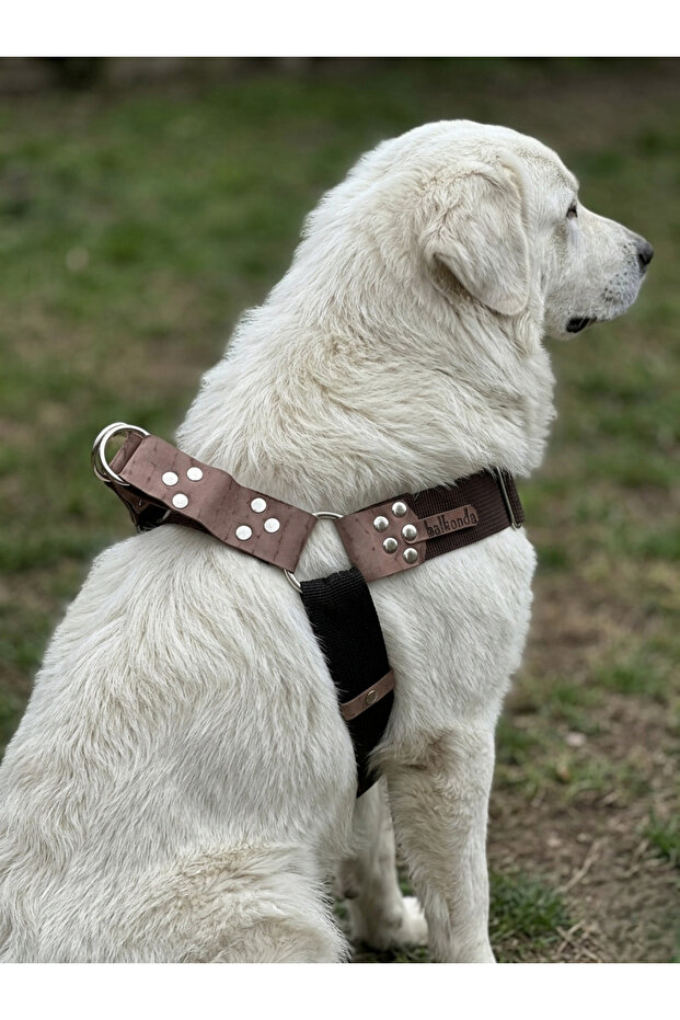 Dog Chest Harness Large Breed Adjustable 4.5 cm Width Palaska Column Cord Black & Brown