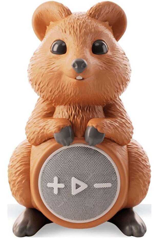 Głośnik Bluetooth Cooker
