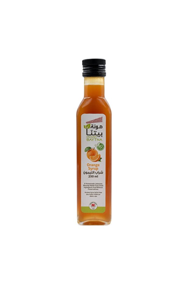 Apricot Syrup 250 ml