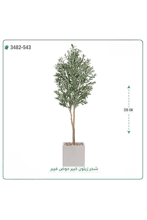 Artificial olive tree fiber pot { 220cm tall }