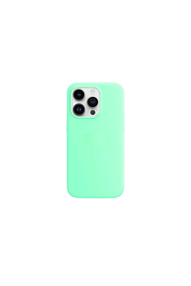 Husa compatibila iPhone 12 Pro Max - 1