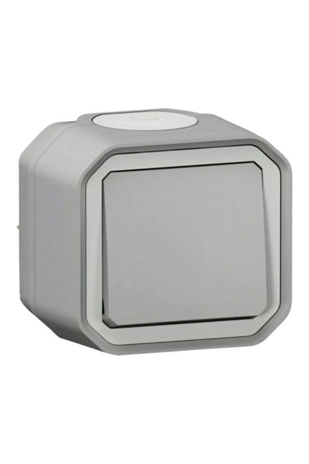 Legrand Plexo IP55 double switch grey, surface mounting