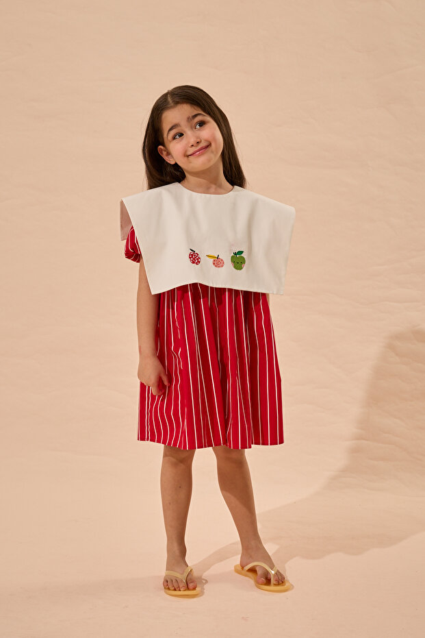 Elma Embroidered Striped Dress Red