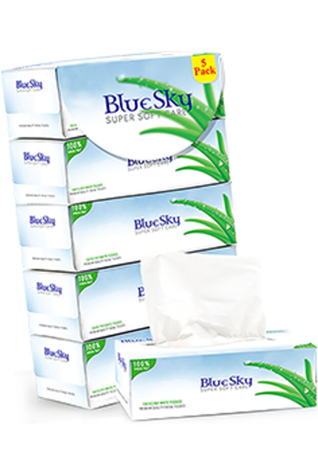 Blue Sky Soft Facial Tissue 2Ply 5x100's