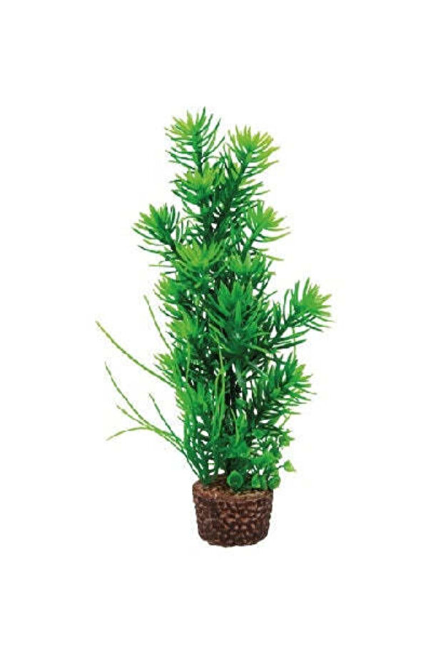 Flora Stone 5 for Aquarium 4x25cm