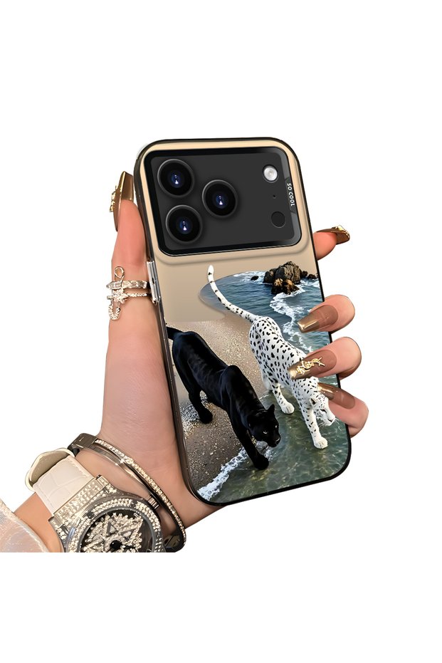 iPhone 17 Pro Compatible Hard Acrylic Back Silicone Edge Lens Protection Case