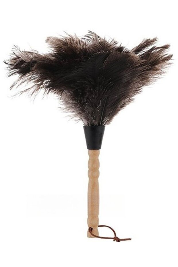 Antistatic ostrich feather vacuum cleaner with brown wooden handle