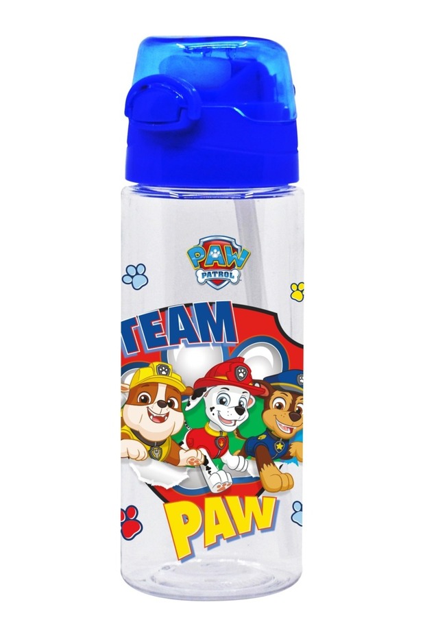 Paw Patrol 500ml Water Bottle