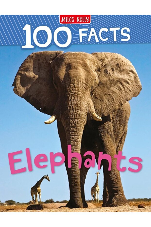 100 Facts Elephants Paperback