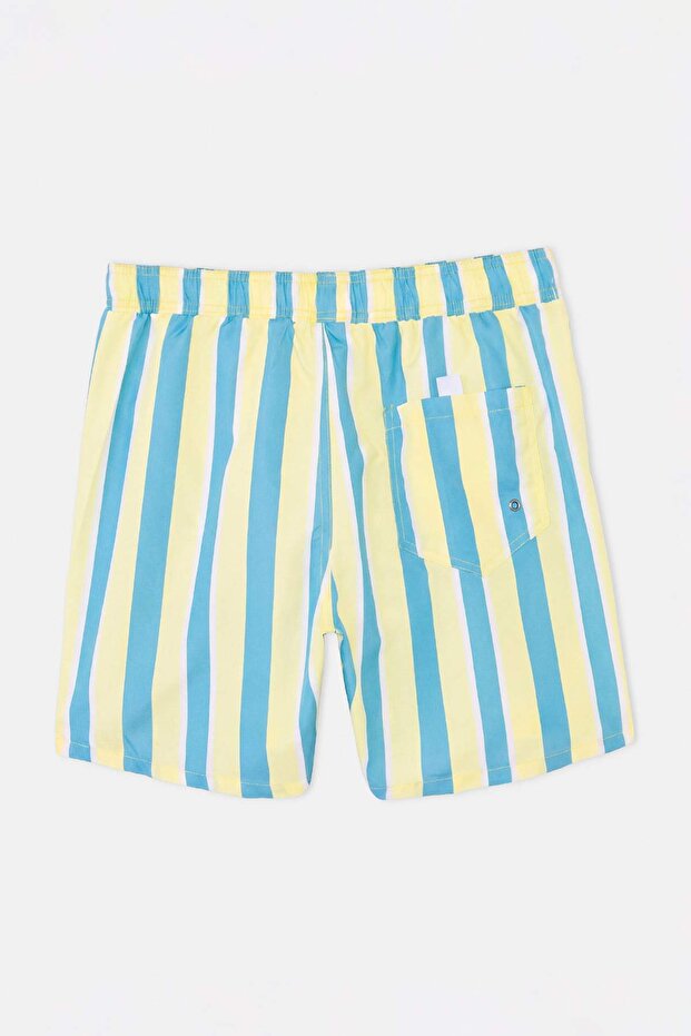 Sarı-Yeşil Çizgili Normal Boy Regular Fit Erkek Deniz Şortu TMNSS26DS00009 - 6