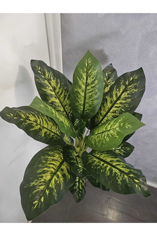 Evergreen 140cm - 4