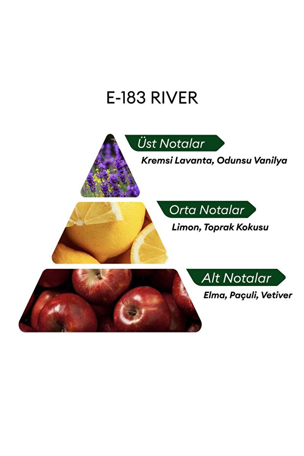 E183 River 50 ml Erkek Parfüm | Aromatic - 5