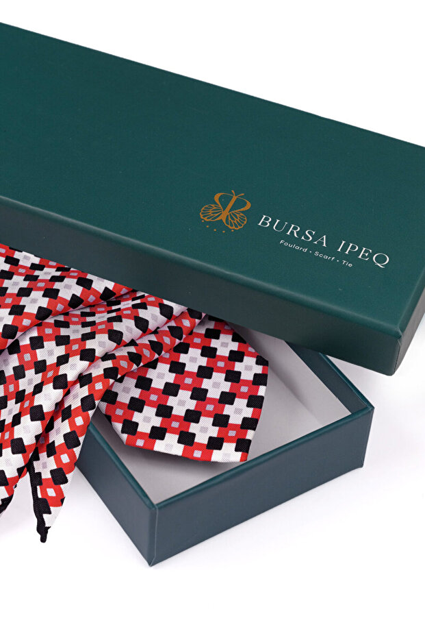 Red Patterned Silk Tie Set - 4