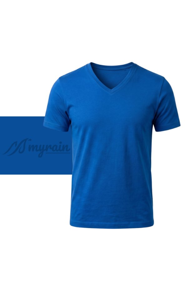 V-Neck Basic T-Shirt (Slim Fit)