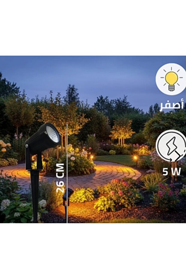Transplanting Flashlight - 2