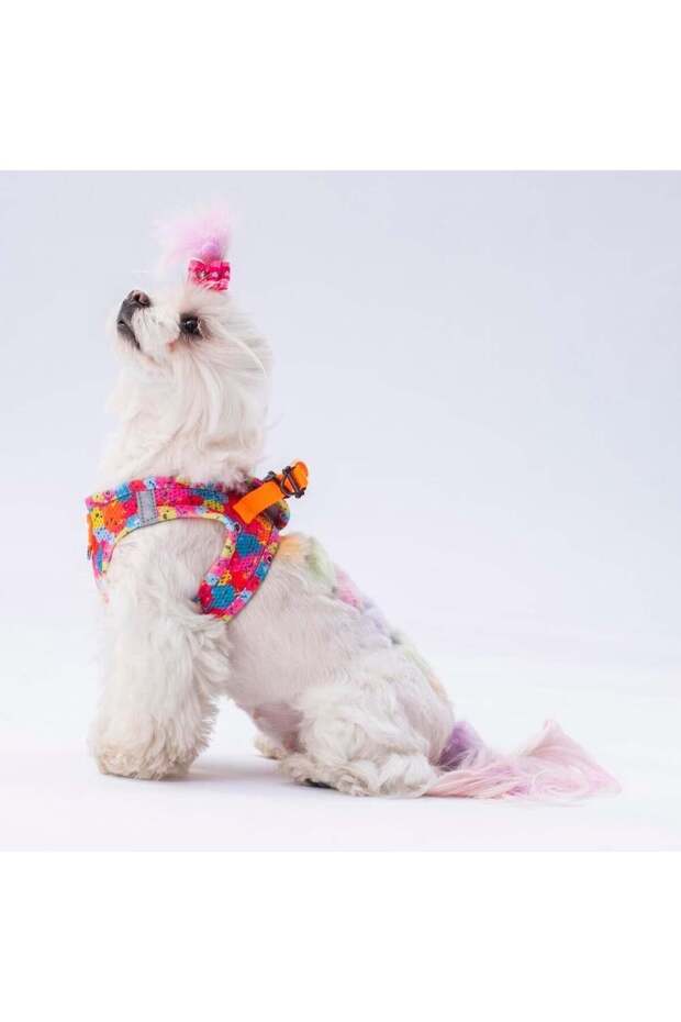 Dog Harness