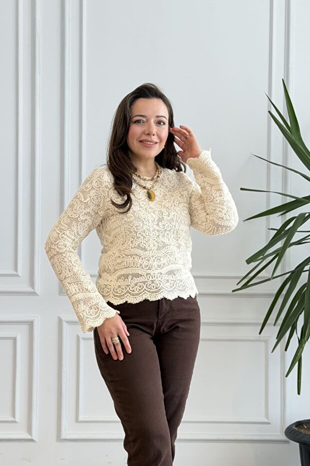 Lace Mesh Blouse