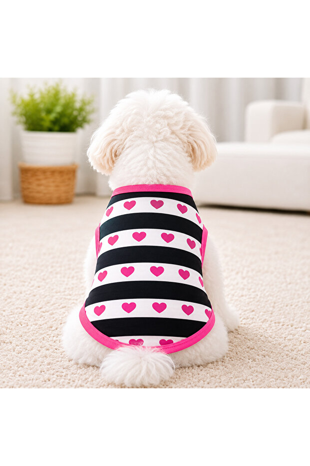 Hearted Dog Tshirt Dog Outfit