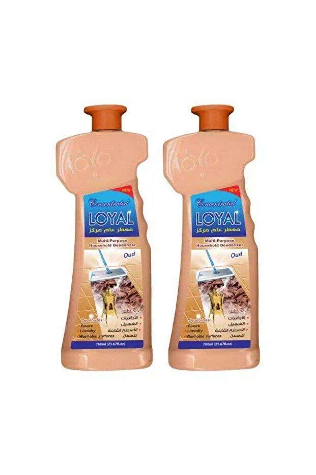 Multi-Purpose Household Deodorizer Gel Oud-2X700ml