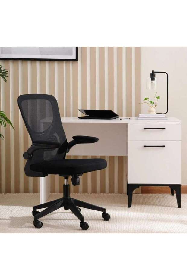 Watts Office Medium Back Chair Mesh Fabric - Black