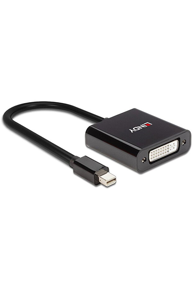 Mini DisplayPort to DVI - 3