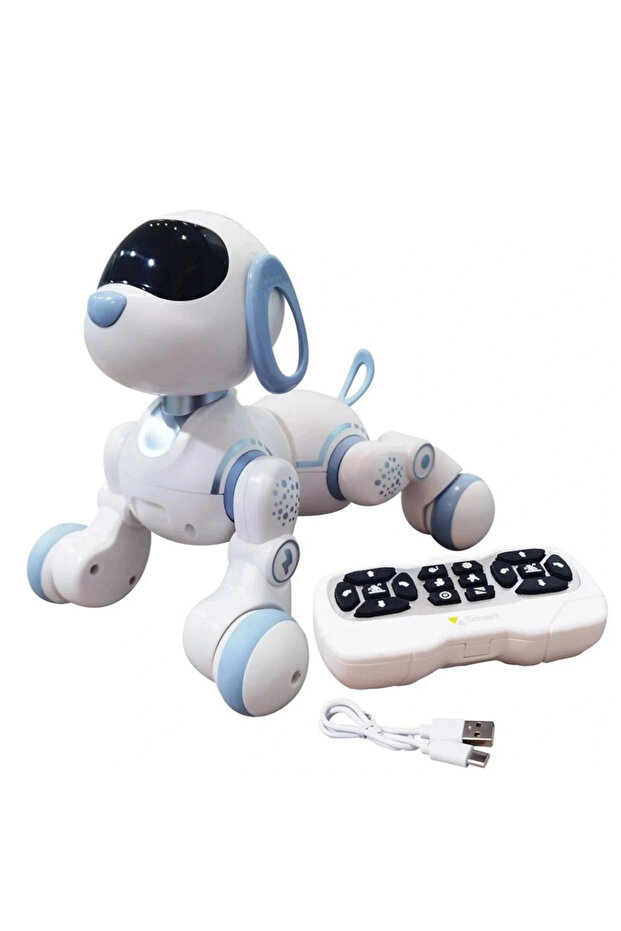 Remote Control Dog
