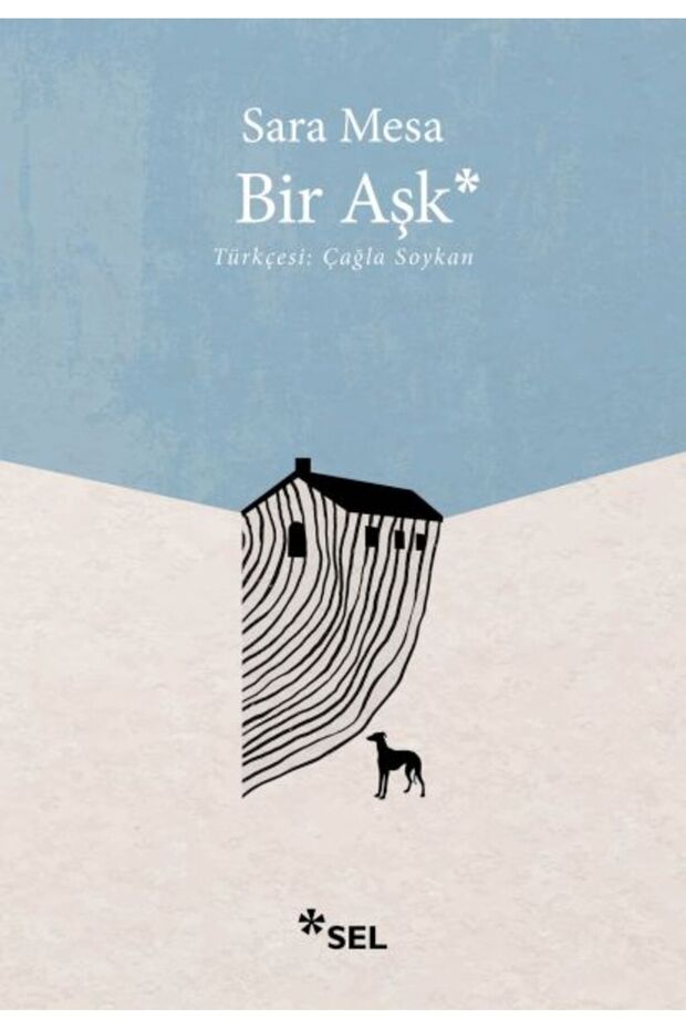 Bir Aşk