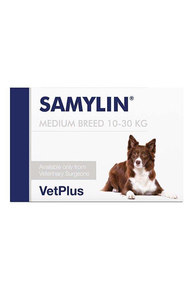 SAMYLIN Medium Breed Liver Support Supplement for Dogs 30 Tablets From Varmacy