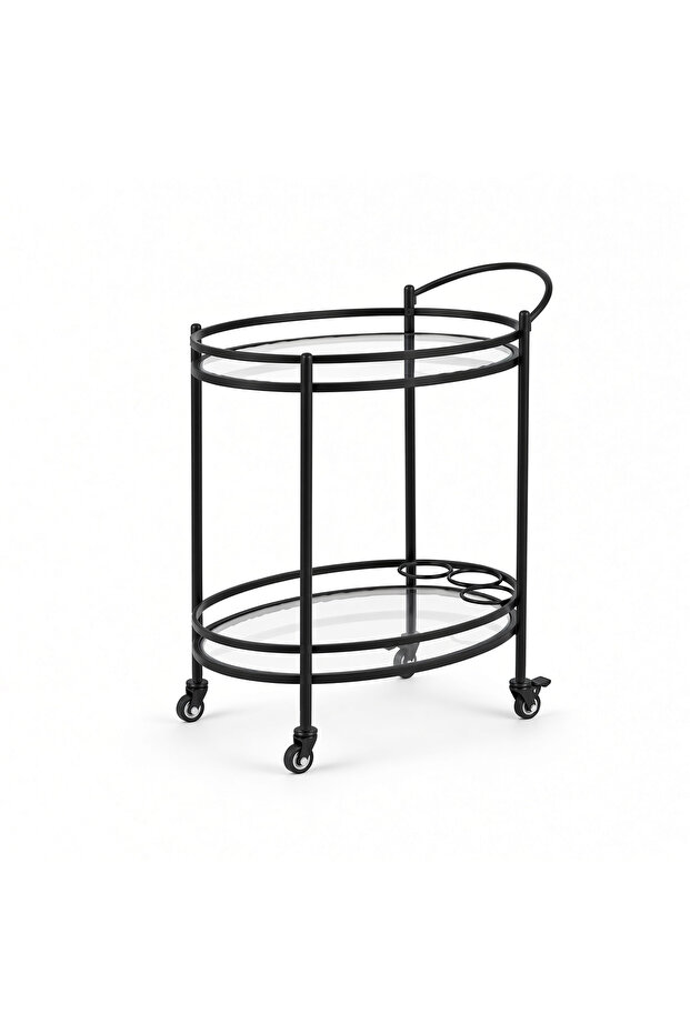 2-Tier Rolling Serving Cart with Glass Shelves, Metal Beverage Cart on Wheels