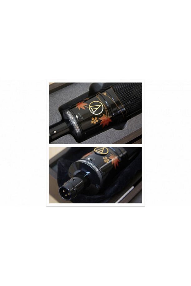 At4050 Urushı Limited Edition Stüdyo Mikrofonu - 4