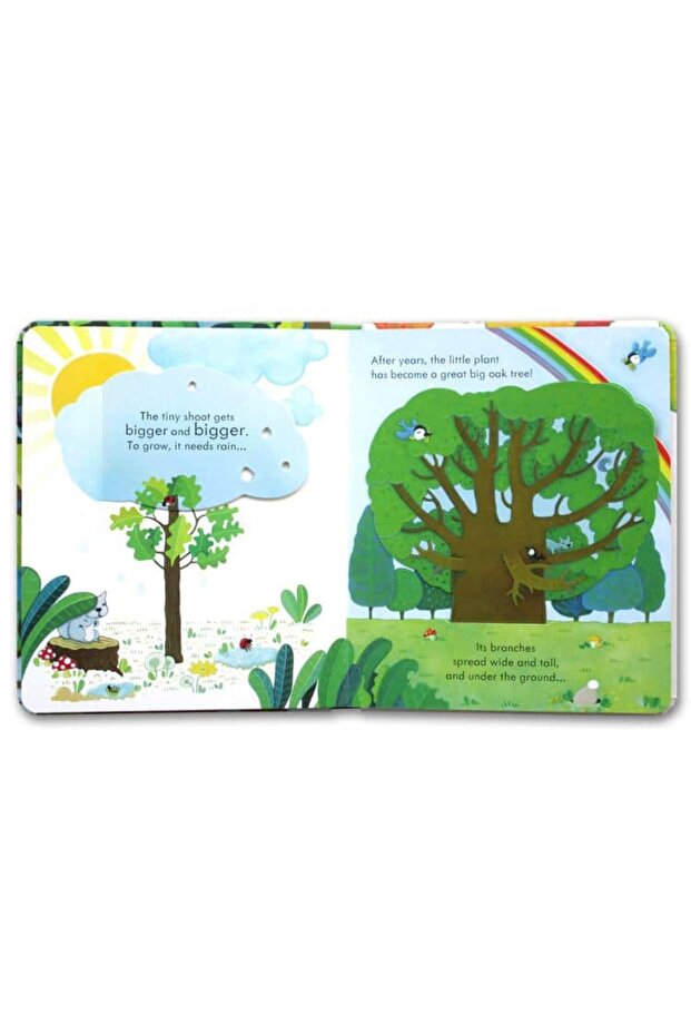 Peep Inside a Tree book about trees - Peep Inside a Tree - 2