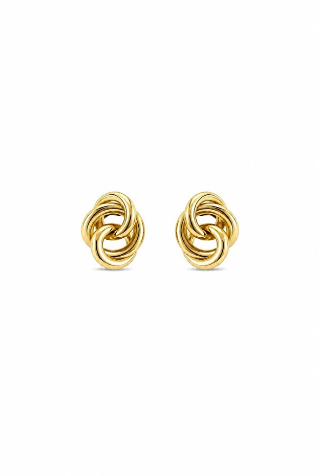 Steel Mony Earring