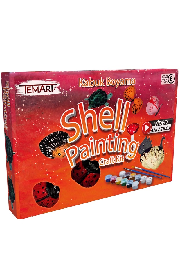 Sea Shell Painting/ Hobby & Box Game/Camping Theme Artistic Activity Set