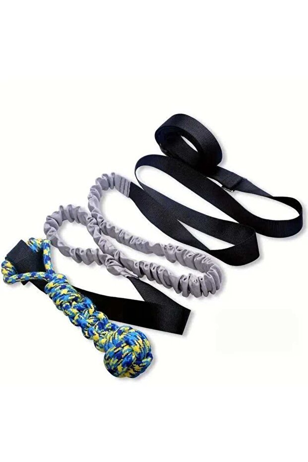 black Outdoor Bungee Tug Toy, Dog Toy Hanging from Tree for Small to Large Dogs, Interactive Exercis