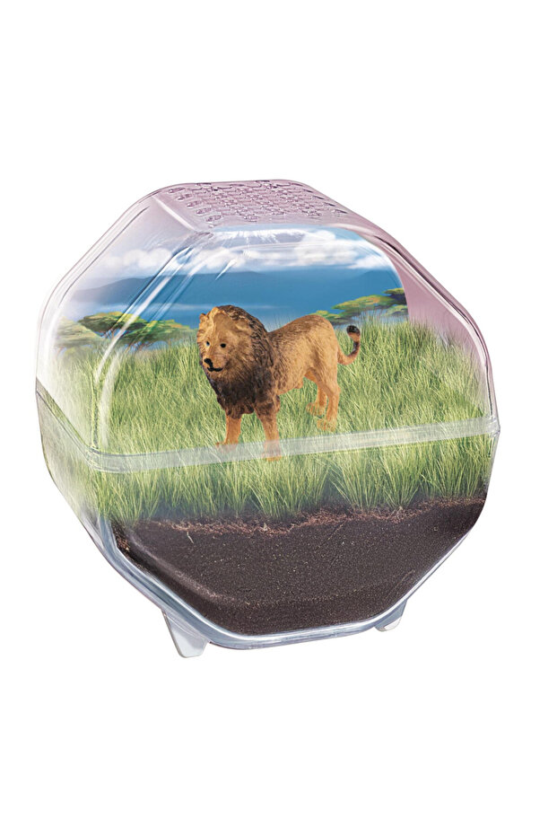 Animals Lion Mini terariu - 2