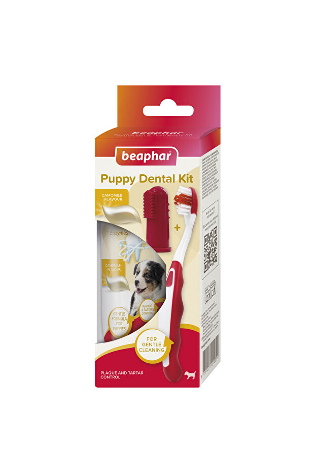 Puppy Dental Kit, 50 g