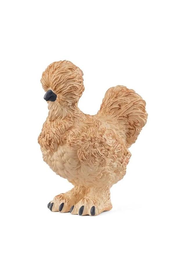 Broască țestoasă mătăsoasă