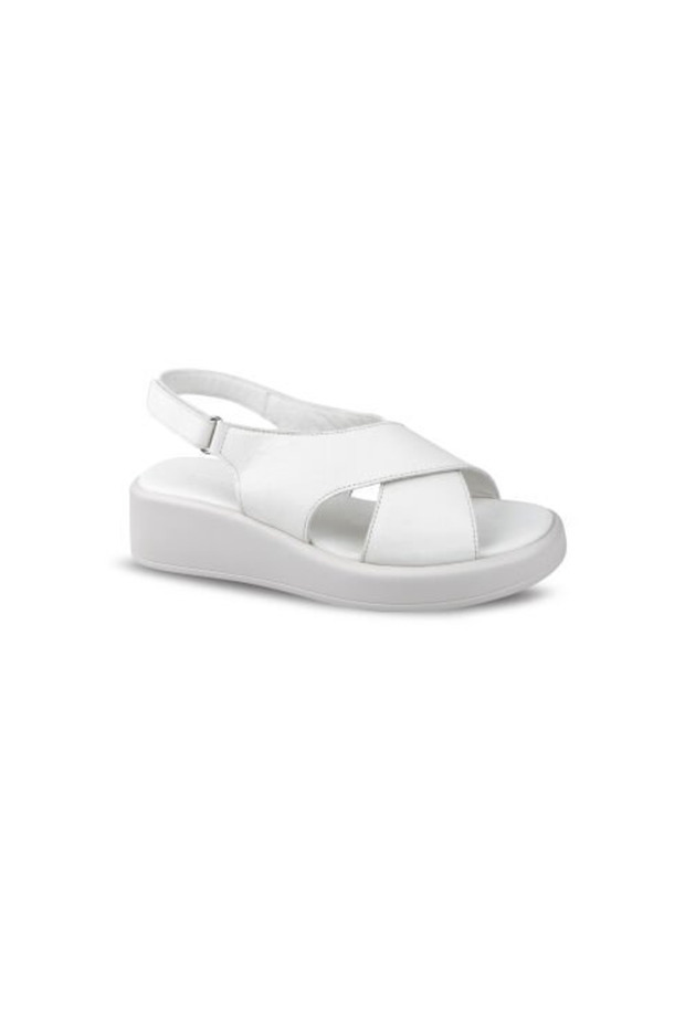 0090 (36-40) زيني
