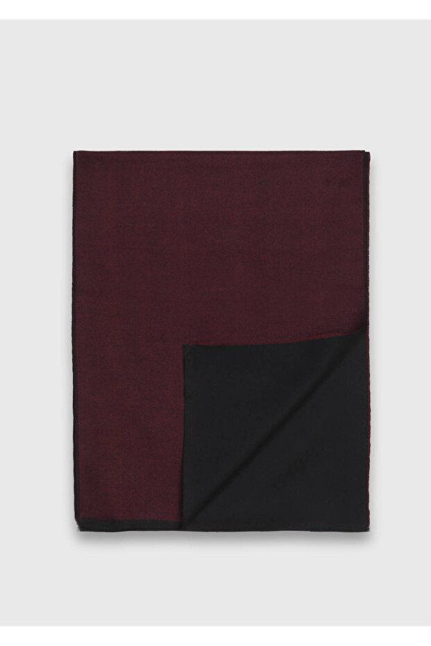 كلاريت ريد كاشكول