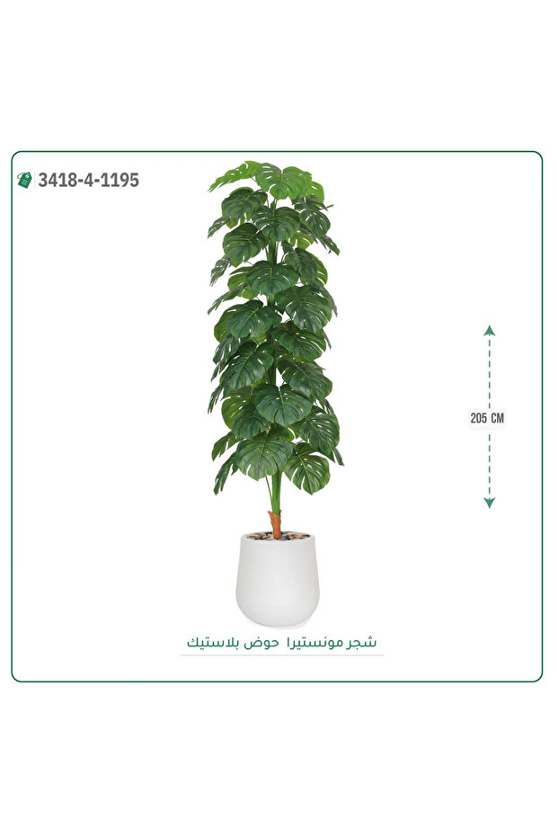 شجر مونستيرا صناعية حوض بلاستيك { ارتفاع 205 سم }