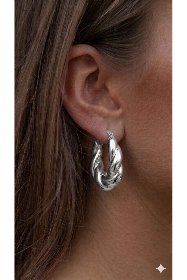 Silver Steel Silver Elegant Twist Earrings Imported