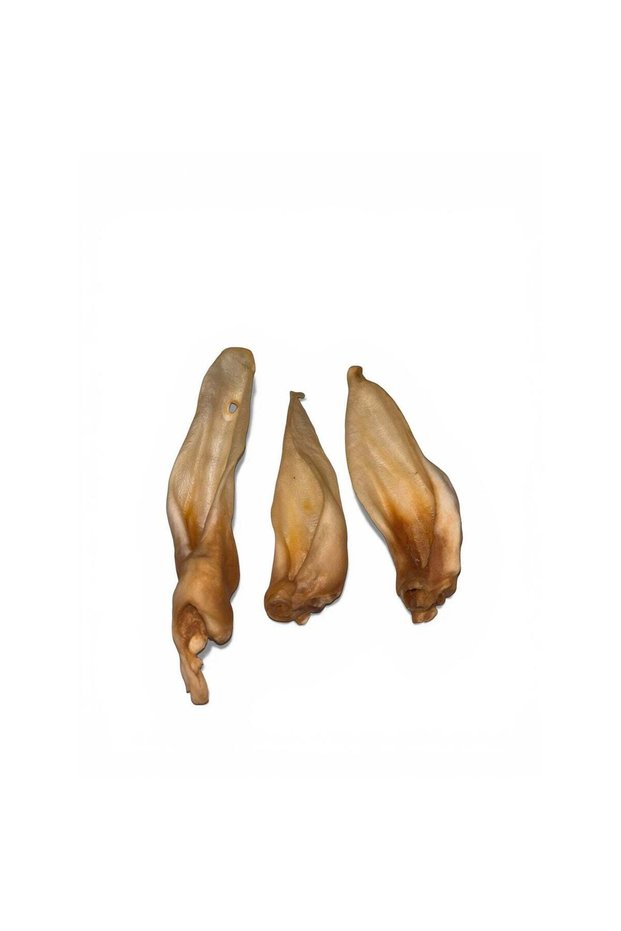 Urechi de miel - 2 buc.